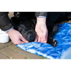 Coolpets Premium Koelmat M -Deli Prins Winkel 1002984 4