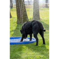 Coolpets Splash Pool Sproeier -Deli Prins Winkel 1002988 4