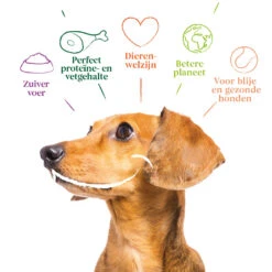 4x Yarrah Bio Hondenvoer Multipack Paté Graanvrij Kip - Kalkoen -Deli Prins Winkel 1003007 4