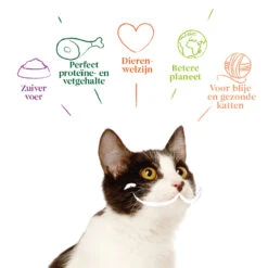 8x Yarrah Bio Kattenvoer Multipack Paté Graanvrij Zalm - Zeewier 9 8x Yarrah Bio Kattenvoer Multipack Paté Graanvrij Zalm - Zeewier -Deli Prins Winkel 1003008 4