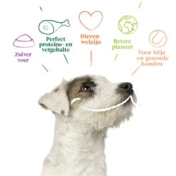 4x Yarrah Bio Hondenvoer Multipack Paté Graanvrij Rund - Kip -Deli Prins Winkel 1003009 4