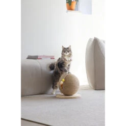 Designed By Lotte Krabbol Balty XL -Deli Prins Winkel 1005517 3