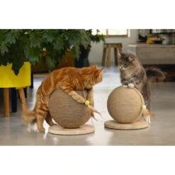 Designed By Lotte Krabbol Balty XL -Deli Prins Winkel 1005517 6