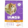 Iams Kat Kitten/Junior Kip -Deli Prins Winkel 1006401