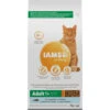 Iams Kat Adult Oceaanvis
