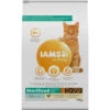 Iams Kat Adult Sterilised - Overweight Kip -Deli Prins Winkel 1006429