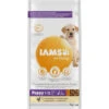 Iams Dog Puppy - Junior Large Kip -Deli Prins Winkel 1006470