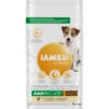 Iams Dog Adult Small - Medium Kip -Deli Prins Winkel 1006474