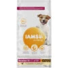 Iams Dog Senior Small - Medium Kip -Deli Prins Winkel 1006489