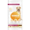 Iams Dog Senior Large Kip -Deli Prins Winkel 1006491