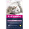 Eukanuba Kat Kitten - Junior Kip - Lever -Deli Prins Winkel 1006501