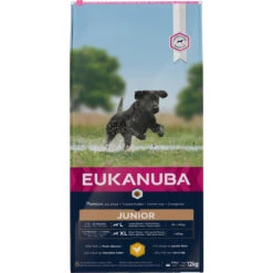 Eukanuba Dog Developing Junior Large