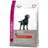 Eukanuba Dog Adult Labrador Retriever Kip 2 Eukanuba Dog Adult Labrador Retriever Kip -Deli Prins Winkel 1006589