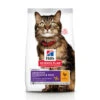 Hill's Hillu0027s Science Plan Kattenvoer Adult Sensitive Stomach & Skin Kip -Deli Prins Winkel 1006978