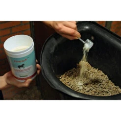 Finecto+ Horse Oral -Deli Prins Winkel 1007087 3