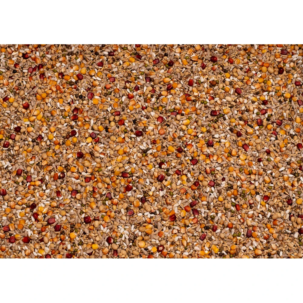 Beyers Galaxy Sport Energy 4 Beyers Galaxy Sport Energy - Afbeelding 2