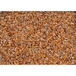 Beyers Olympia 47 Kweek & Sport -Deli Prins Winkel 1007120 2