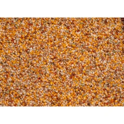 Beyers Original Sport 5 Beyers Original Sport -Deli Prins Winkel 1007137 2