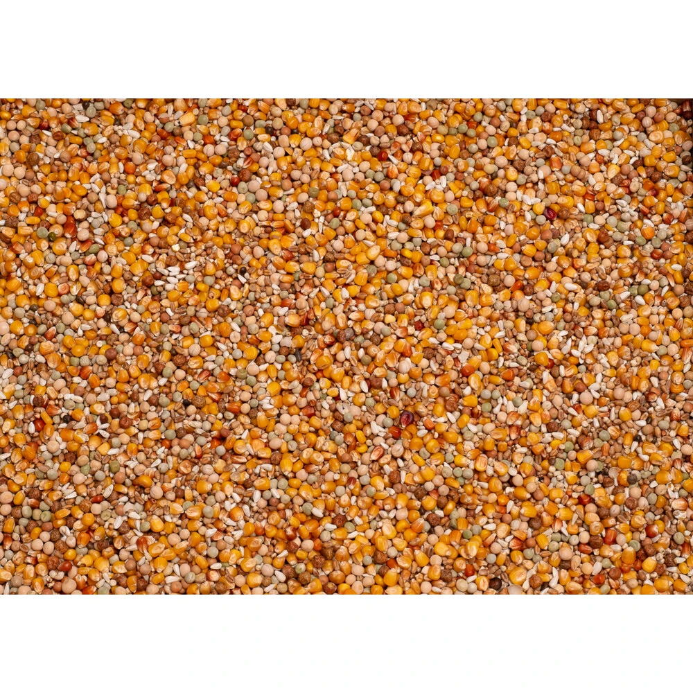 Beyers Original Sport 4 Beyers Original Sport - Afbeelding 2