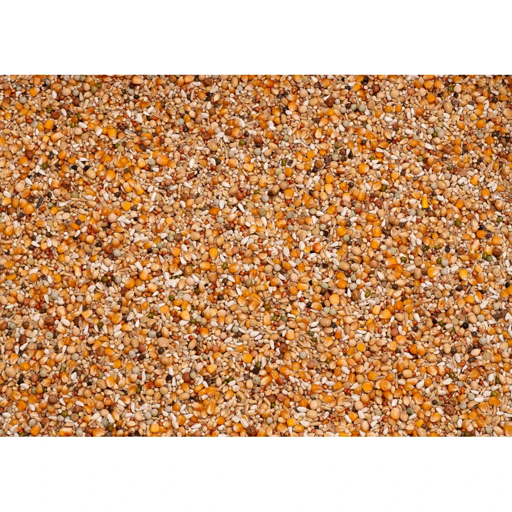 Beyers Premium Super Weduwschap 4 Beyers Premium Super Weduwschap - Afbeelding 2