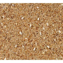 Deli Nature Extra + Cardy Parkiet Nummer 36 5 Deli Nature Extra + Cardy Parkiet Nummer 36 -Deli Prins Winkel 1007338 2