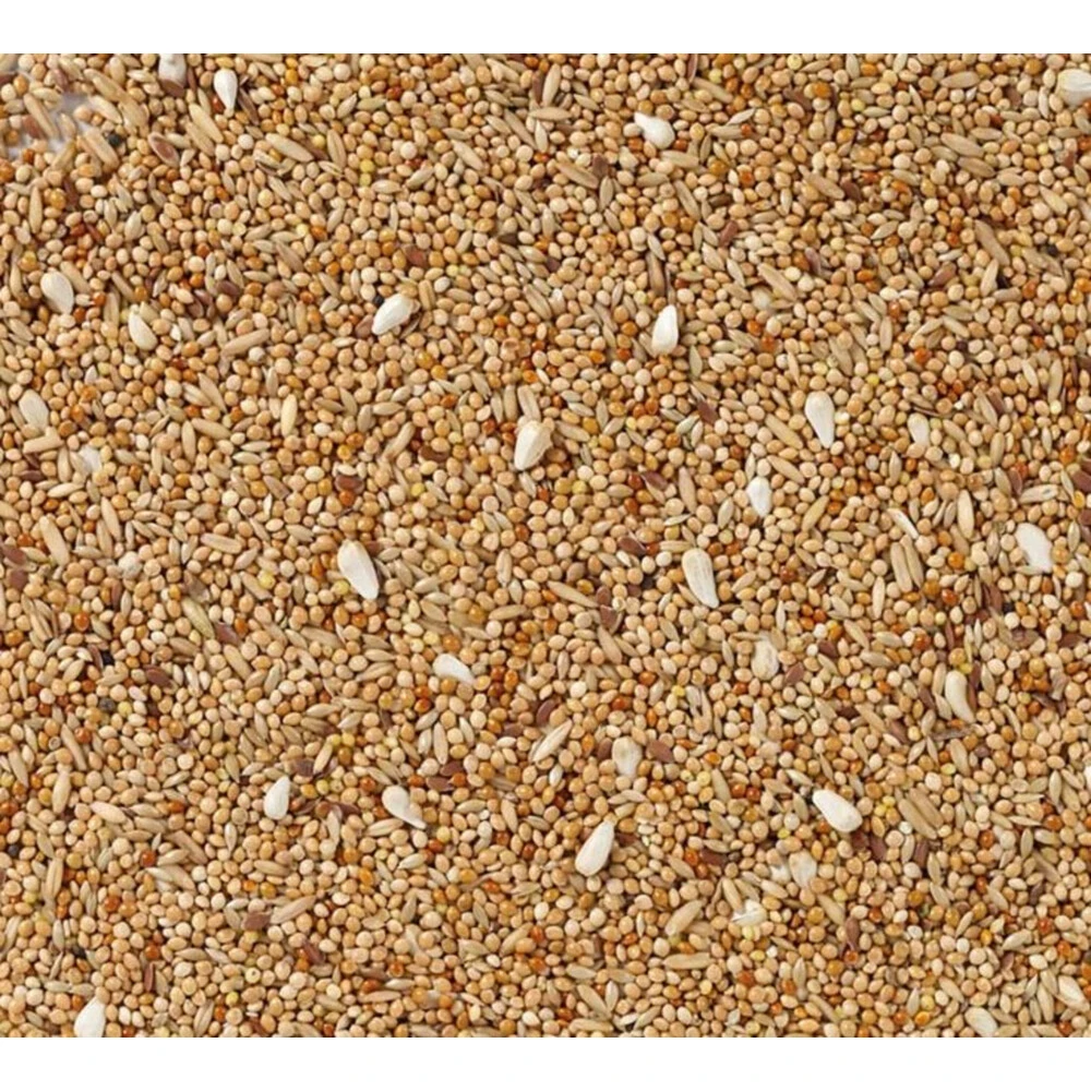 Deli Nature Extra + Cardy Parkiet Nummer 36 4 Deli Nature Extra + Cardy Parkiet Nummer 36 - Afbeelding 2