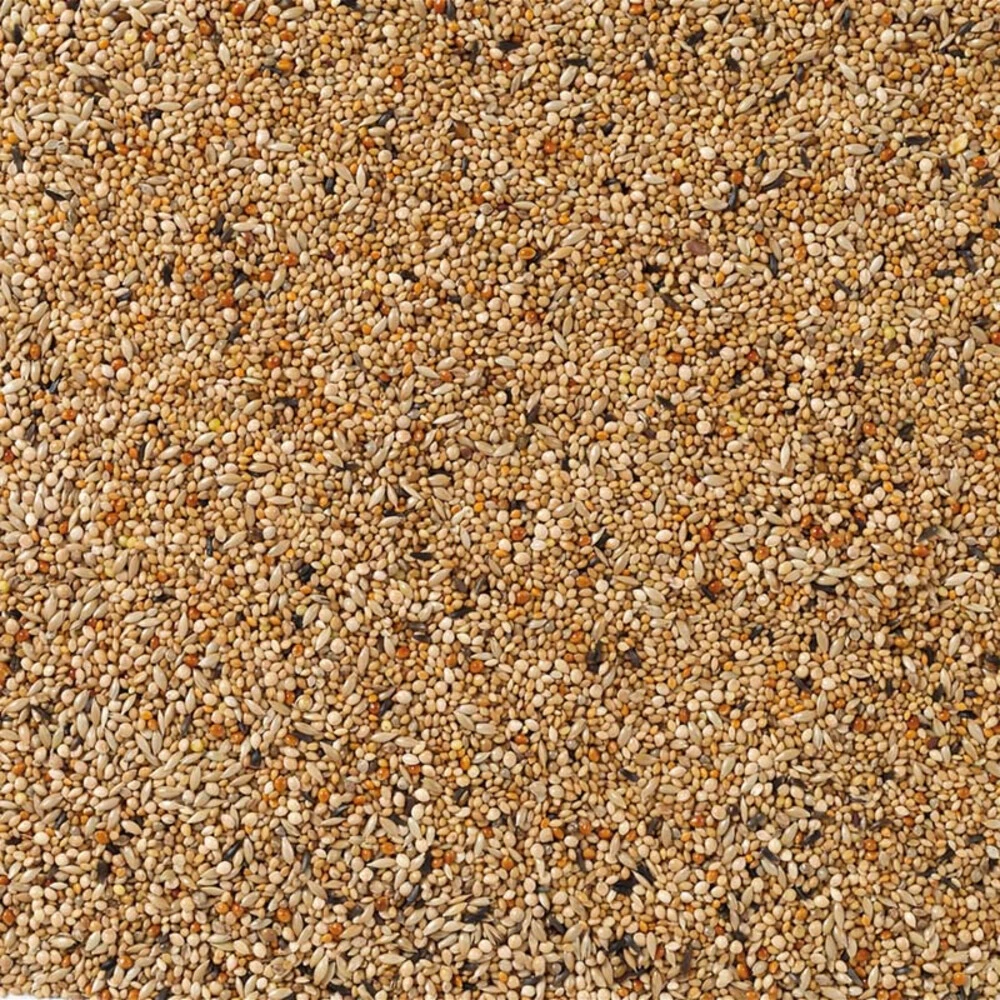 Deli Nature Kweek Exoten Nummer 41 4 Deli Nature Kweek Exoten Nummer 41 - Afbeelding 2