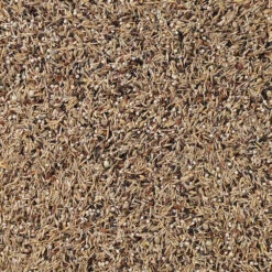 Deli Nature Sijsjes Nummer 49 -Deli Prins Winkel 1007342 2