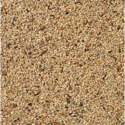 Deli Nature Super Parkiet Nummer 66 -Deli Prins Winkel 1007357 2