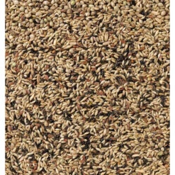 Deli Nature Kweek Zonder Raapzaad Kanarie Nummer 80 -Deli Prins Winkel 1007365 2