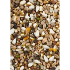 Deli Nature Dovix Tortelduif -Deli Prins Winkel 1007395 2