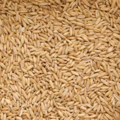 Beyers Gepelde Haver -Deli Prins Winkel 1007424 2