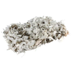 Deli Prins Winkel -Deli Prins Winkel 1008113 2