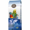 Deli Nature Millet Geel -Deli Prins Winkel 1012664