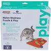 Nina Ottosson Kattenspel Puzzle & Play Melon Madness -Deli Prins Winkel 1016795