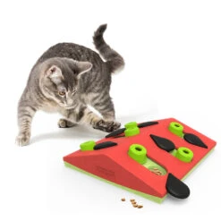 Nina Ottosson Kattenspel Puzzle & Play Melon Madness -Deli Prins Winkel 1016795 4