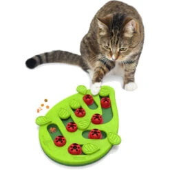 Nina Ottosson Kattenspel Puzzle & Play Buggin Out -Deli Prins Winkel 1016797 4