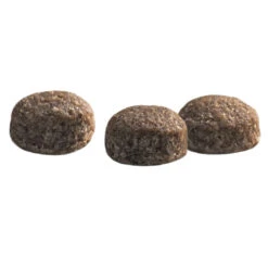 Prins Protection Croque Mini Senior Fit Hondenvoer -Deli Prins Winkel 1016884 3