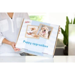 Prins Opgroeibox Protection Croque Junior -Deli Prins Winkel 1016887 3