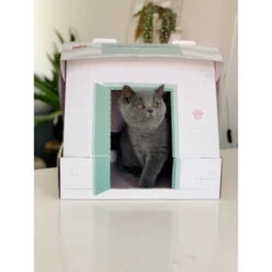 Prins Opgroeibox VitalCare Protection Kitten -Deli Prins Winkel 1016888 4