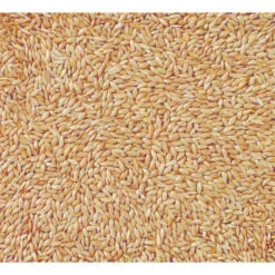 Deli Nature Witzaad - Kanariezaad -Deli Prins Winkel 1017067 2