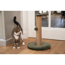 Designed By Lotte Krabpaal Yenna Groen -Deli Prins Winkel 1017092 2