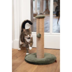 Designed By Lotte Krabpaal Yenna Groen -Deli Prins Winkel 1017092 3