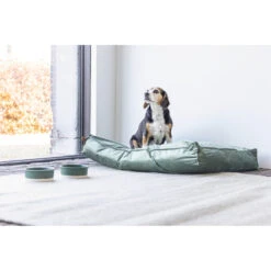 Designed By Lotte Ligkussen Fluweel Nalino Groen -Deli Prins Winkel 1017101 4