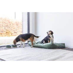 Designed By Lotte Ligkussen Fluweel Nalino Groen -Deli Prins Winkel 1017101 5