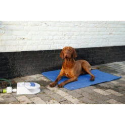 Beeztees Waterfontein Splashy -Deli Prins Winkel 1017124 4