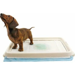 EasyPets Padhouder 65 X 65 Cm -Deli Prins Winkel 1019108 2
