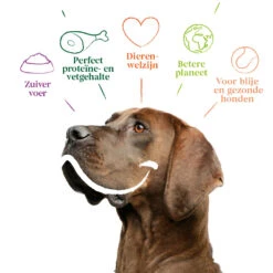 Yarrah Bio Hondenvoer Sensitive Adult Kip - Rijst -Deli Prins Winkel 1020191 4