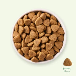 Yarrah Bio Hondenvoer Vegetarisch Tarwe Vrij -Deli Prins Winkel 1020510 3