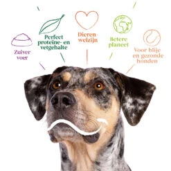 Yarrah Bio Hondenvoer Vegetarisch Tarwe Vrij -Deli Prins Winkel 1020510 4